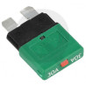 Fusible Reseteable 30A